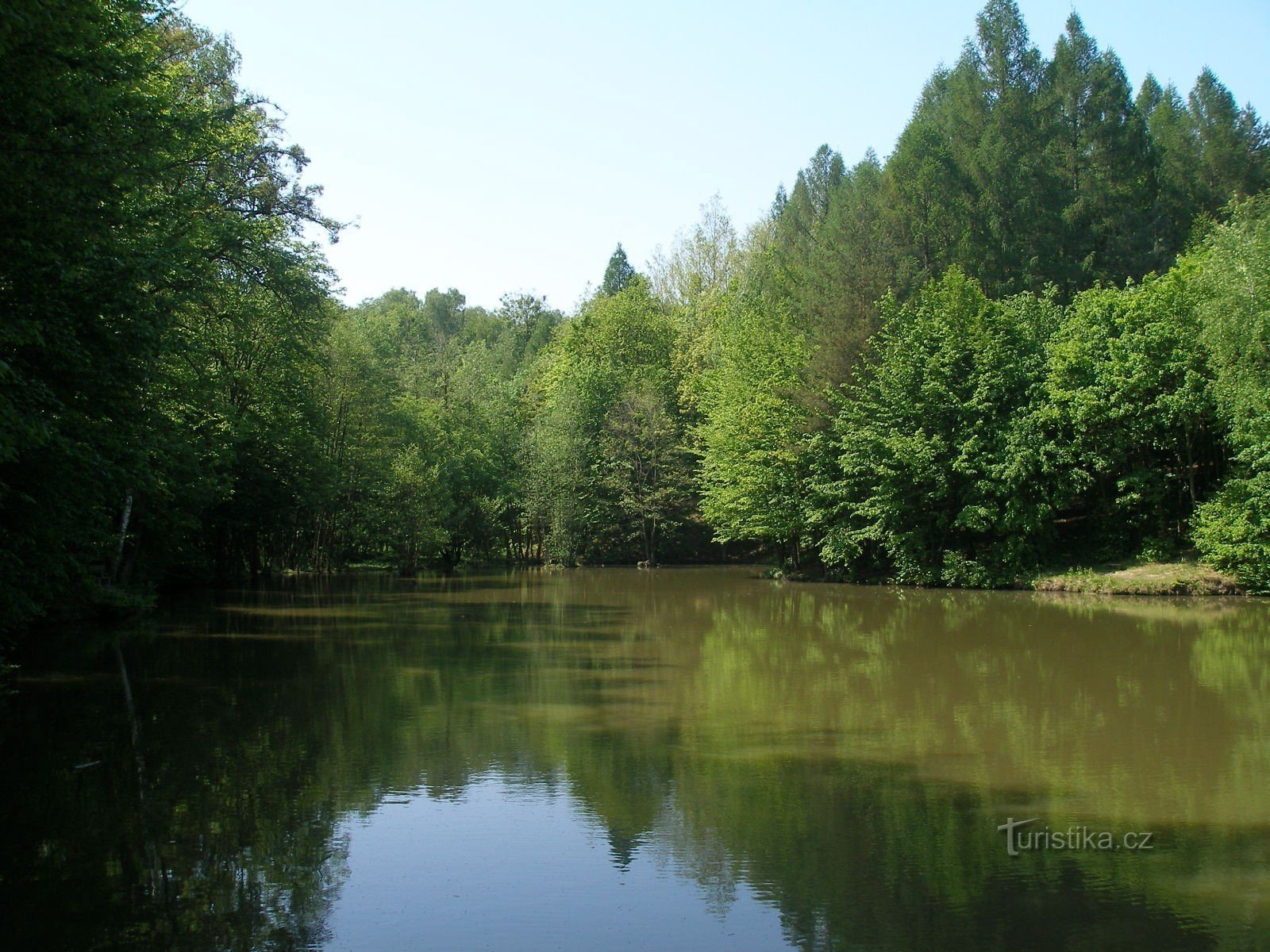 Uma lagoa na floresta Kostelec