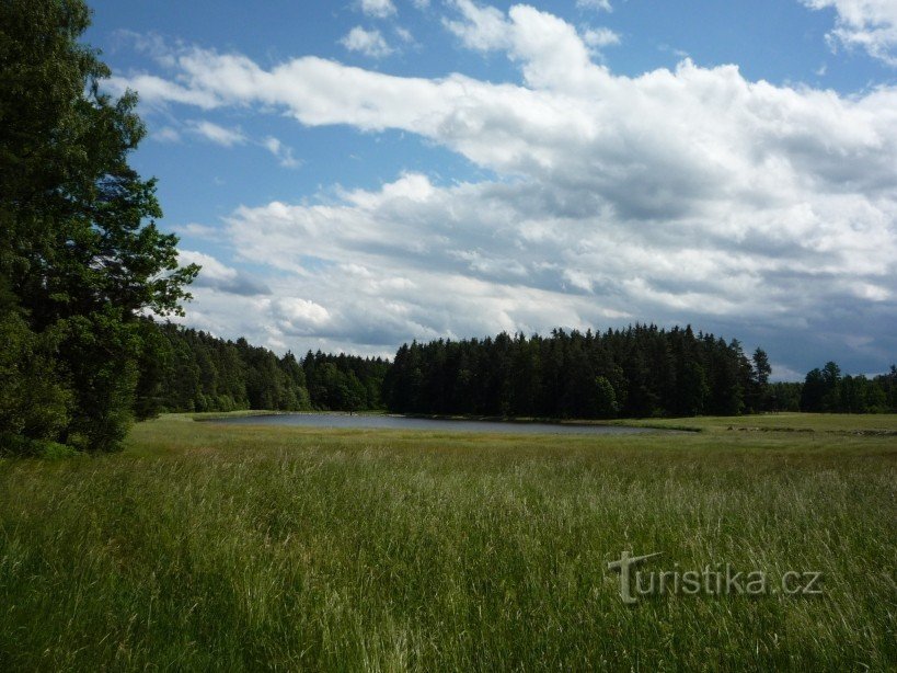 Teich in den Ecken