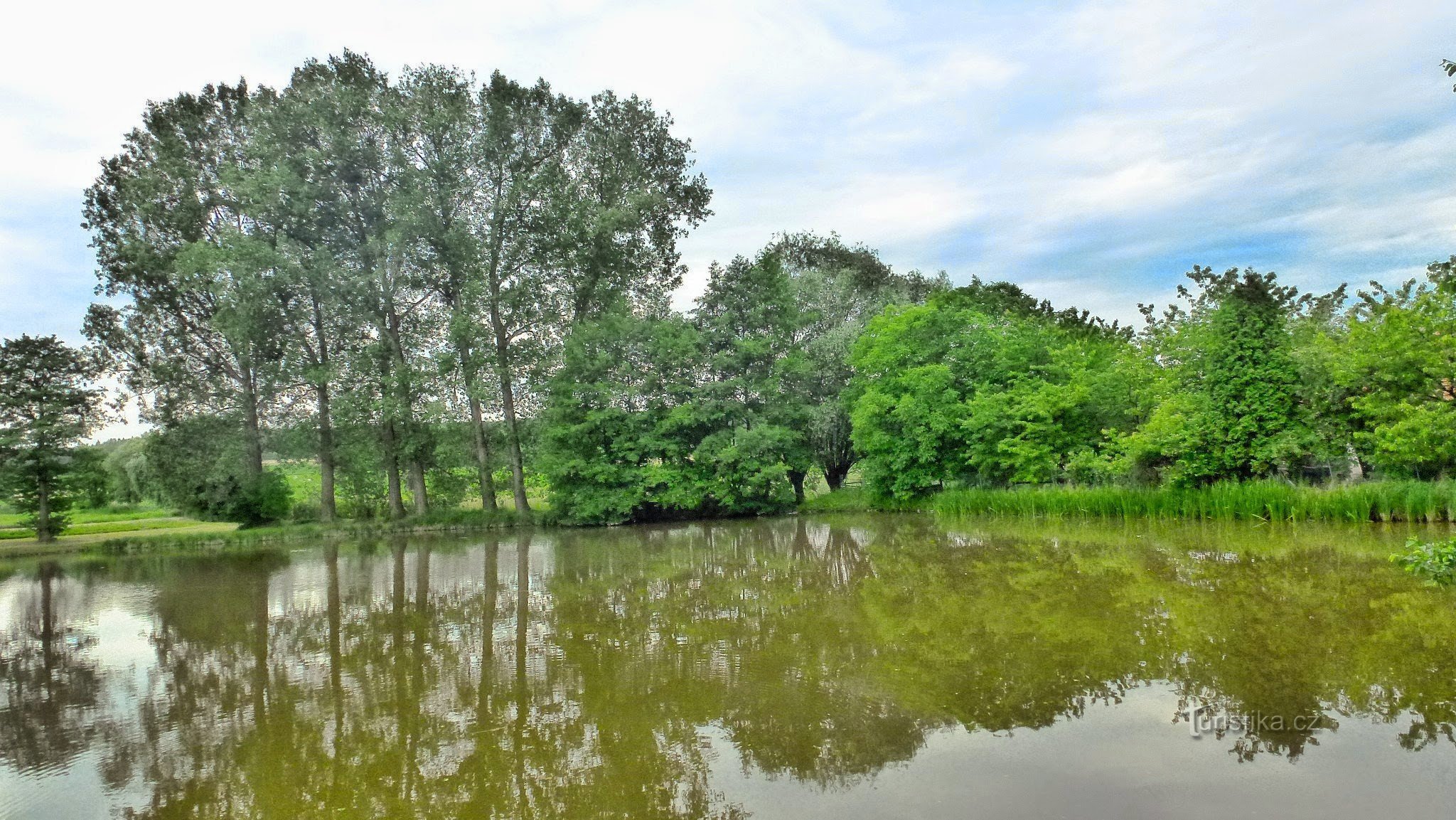 staw w Kozašicach - widok ze wsi