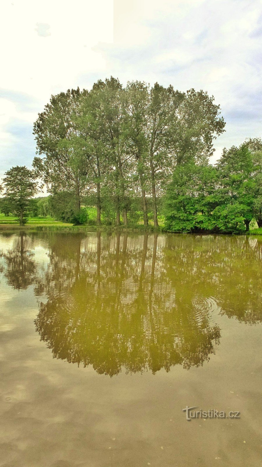étang à Kozašice - vue du village