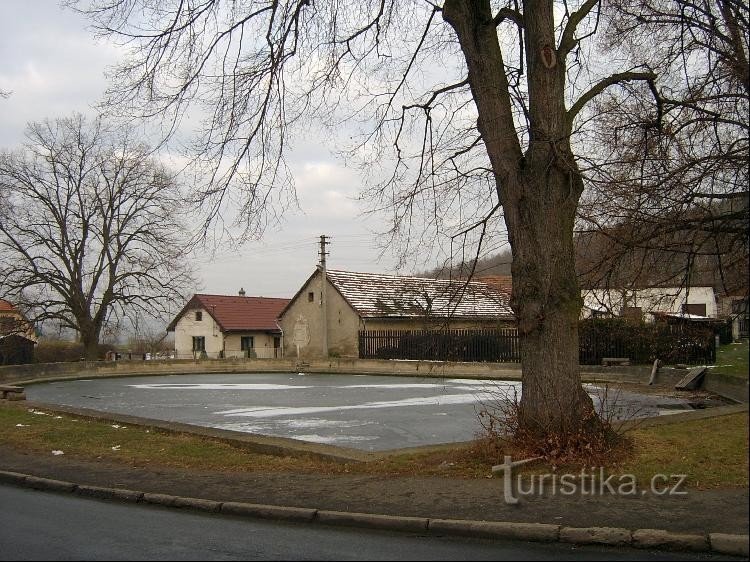 Ein Teich im Dorf