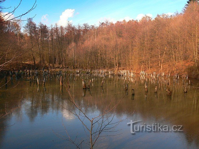 Étang au début du printemps