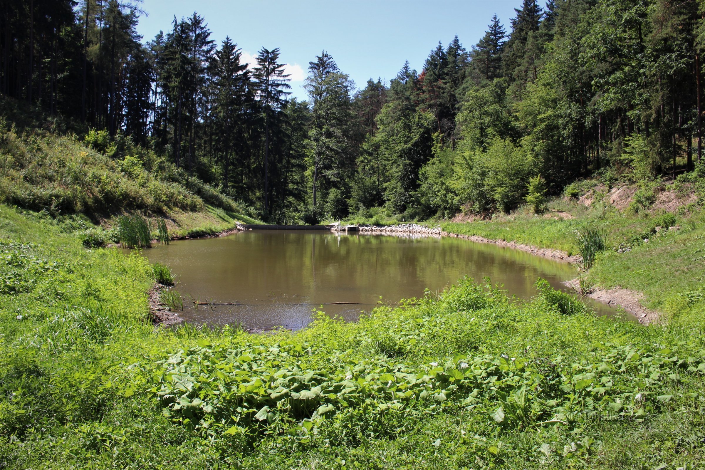 Rakovecký ストリームの谷にある池