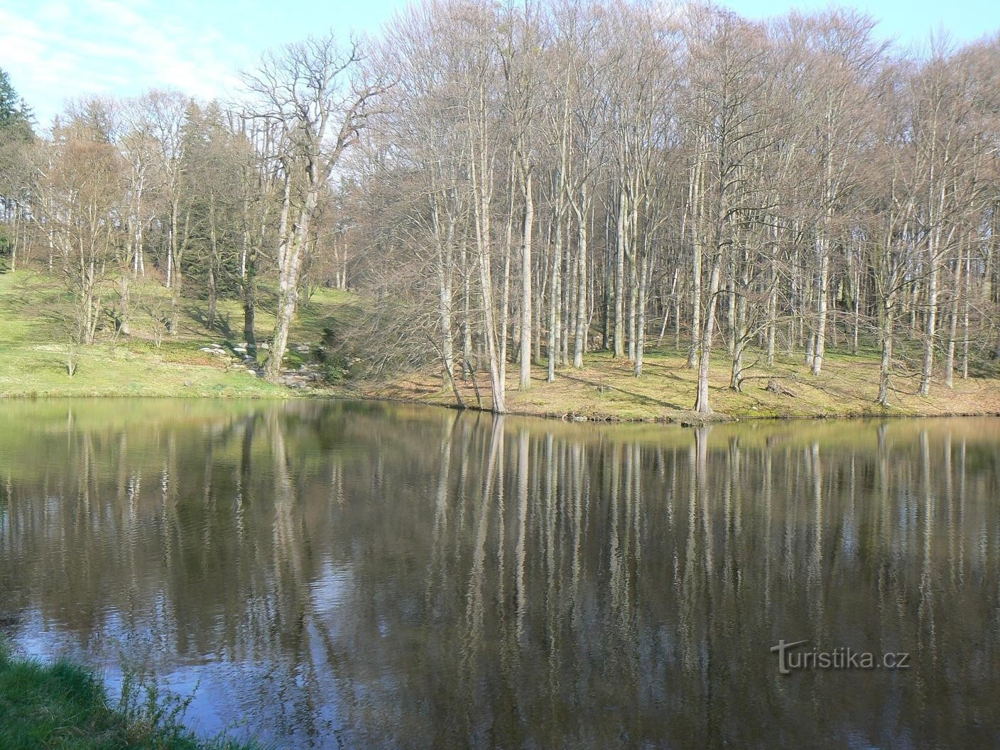 城堡公园的池塘