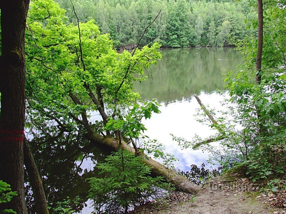 Vidlák dam