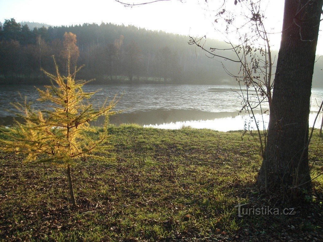 Morski ribnik v popoldanskem novembrskem soncu