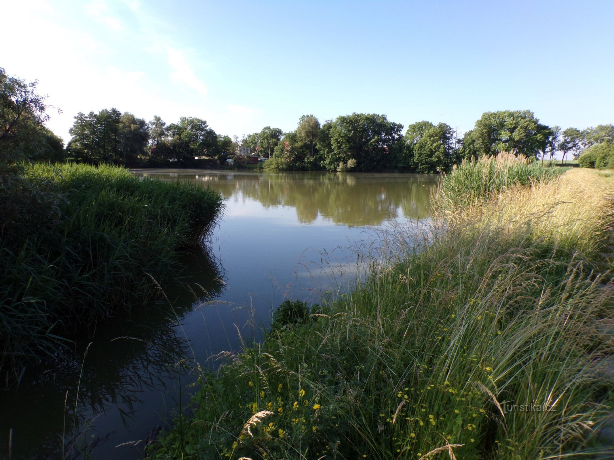 Vyhnálov Pond (Dohalice, 20.6.2021)