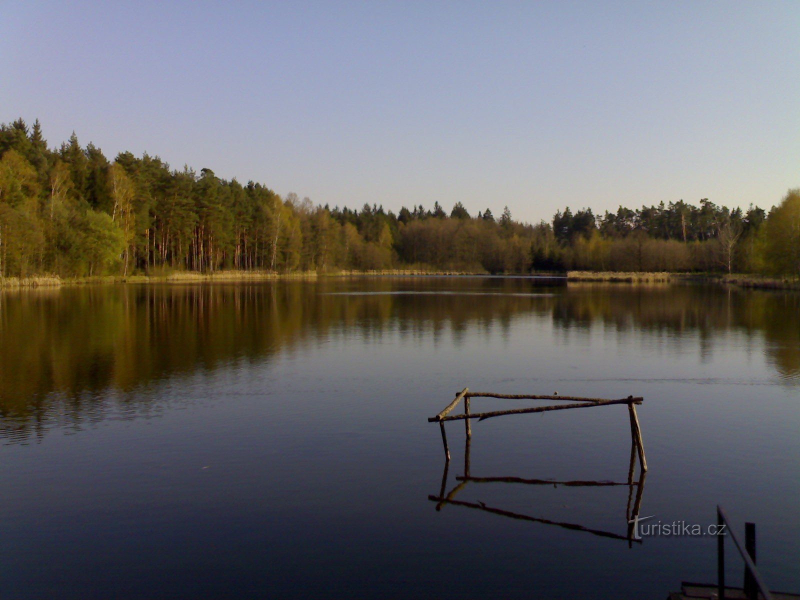 Teich Vorkommen