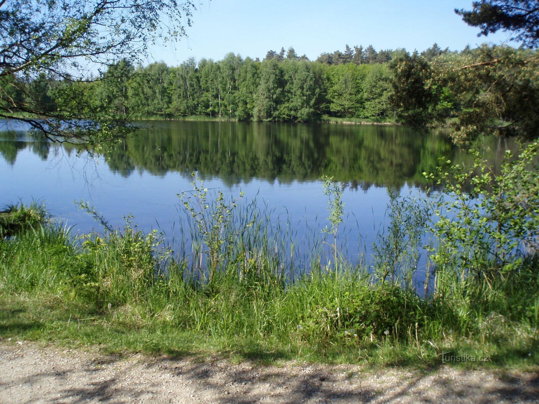 Rybník Vyskyt (Hradec Králové, 18.5.2011)