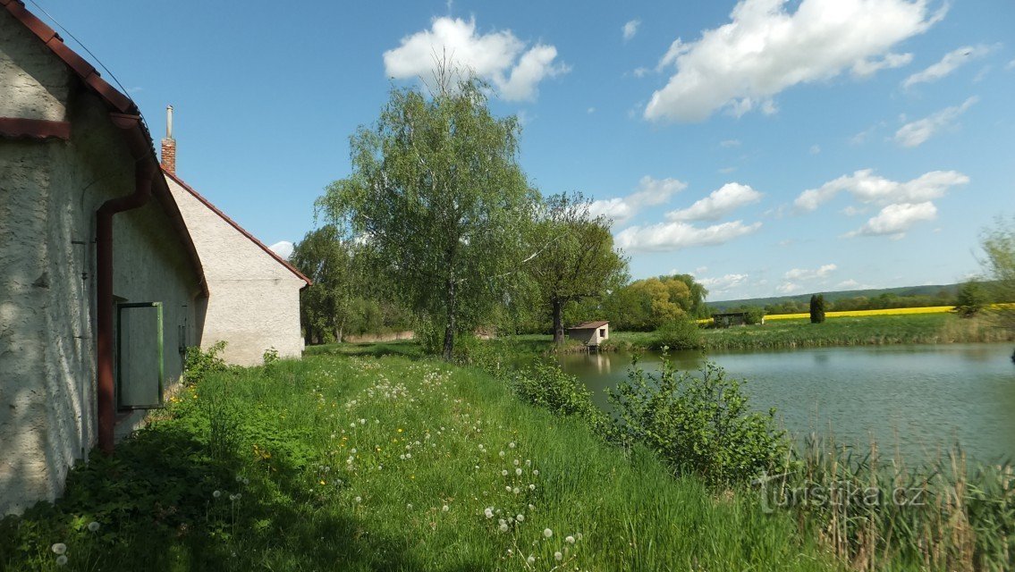 the pond is adjacent to the farm building on one side