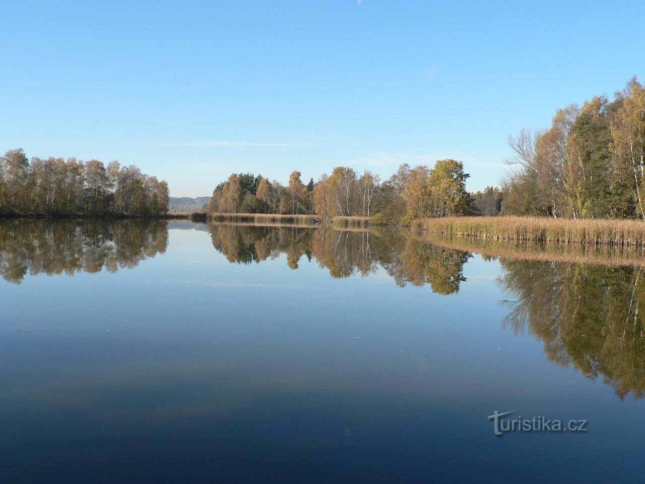 Pond Purchase