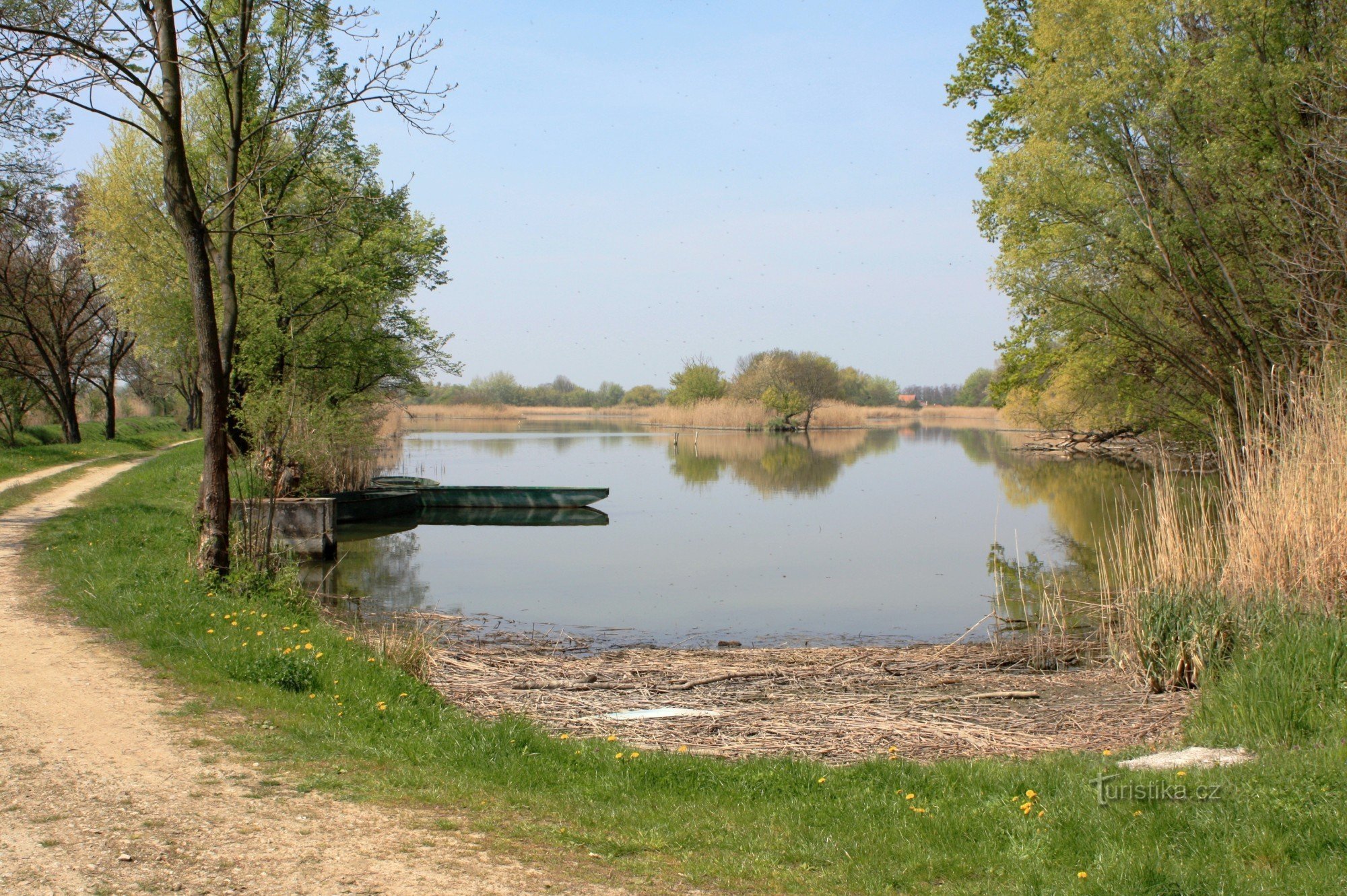 Zarostl vijver - zuidoostelijke hoek