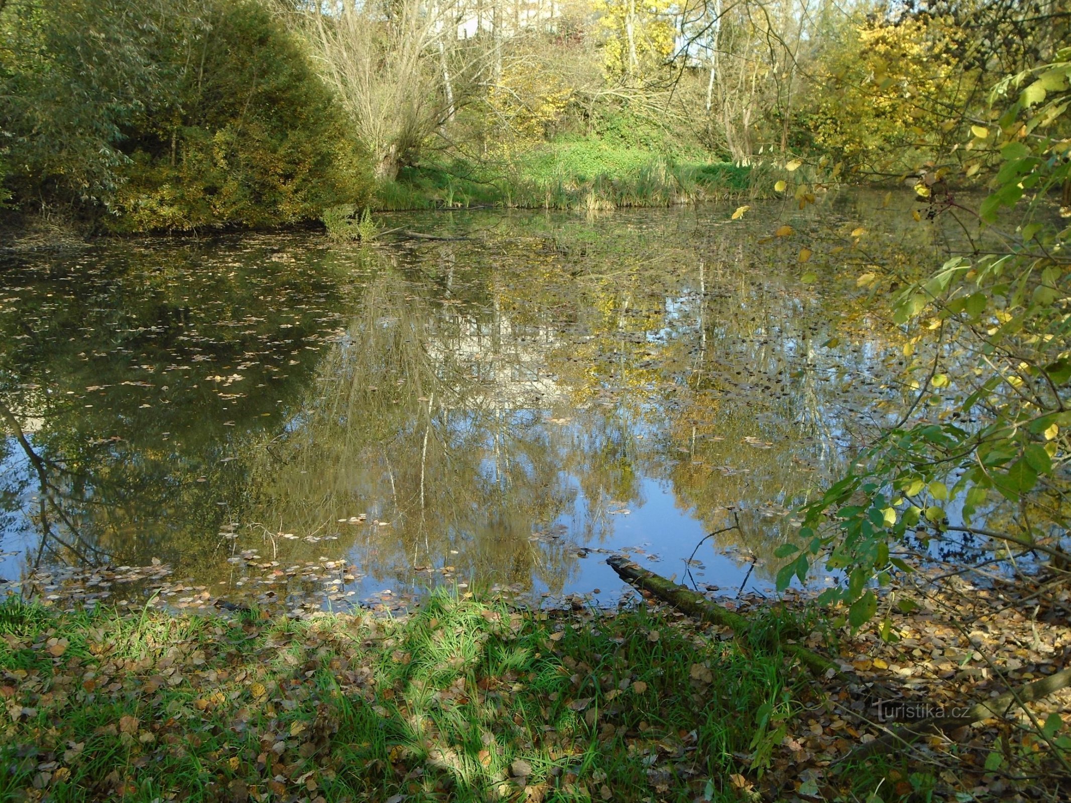 Rybnik Zásyp (Havlovice, 17.10.2017)