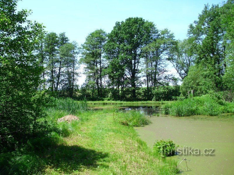 Estanques en el arroyo Hrozová