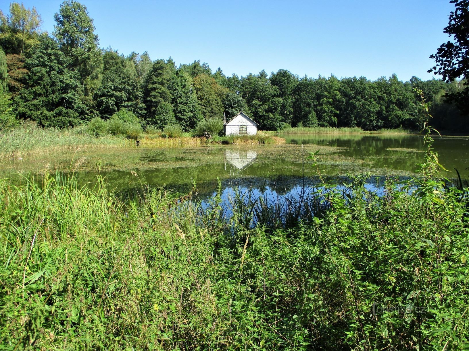 Iazurile Ostřice (Bohdaneč Spa, 9.9.2020)