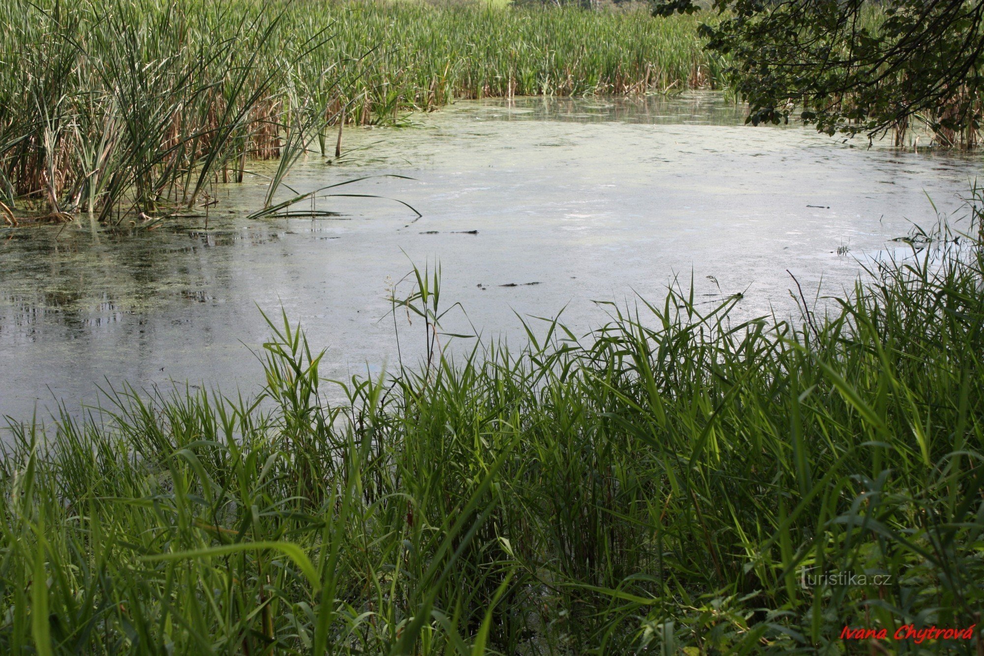 vijvers langs de weg