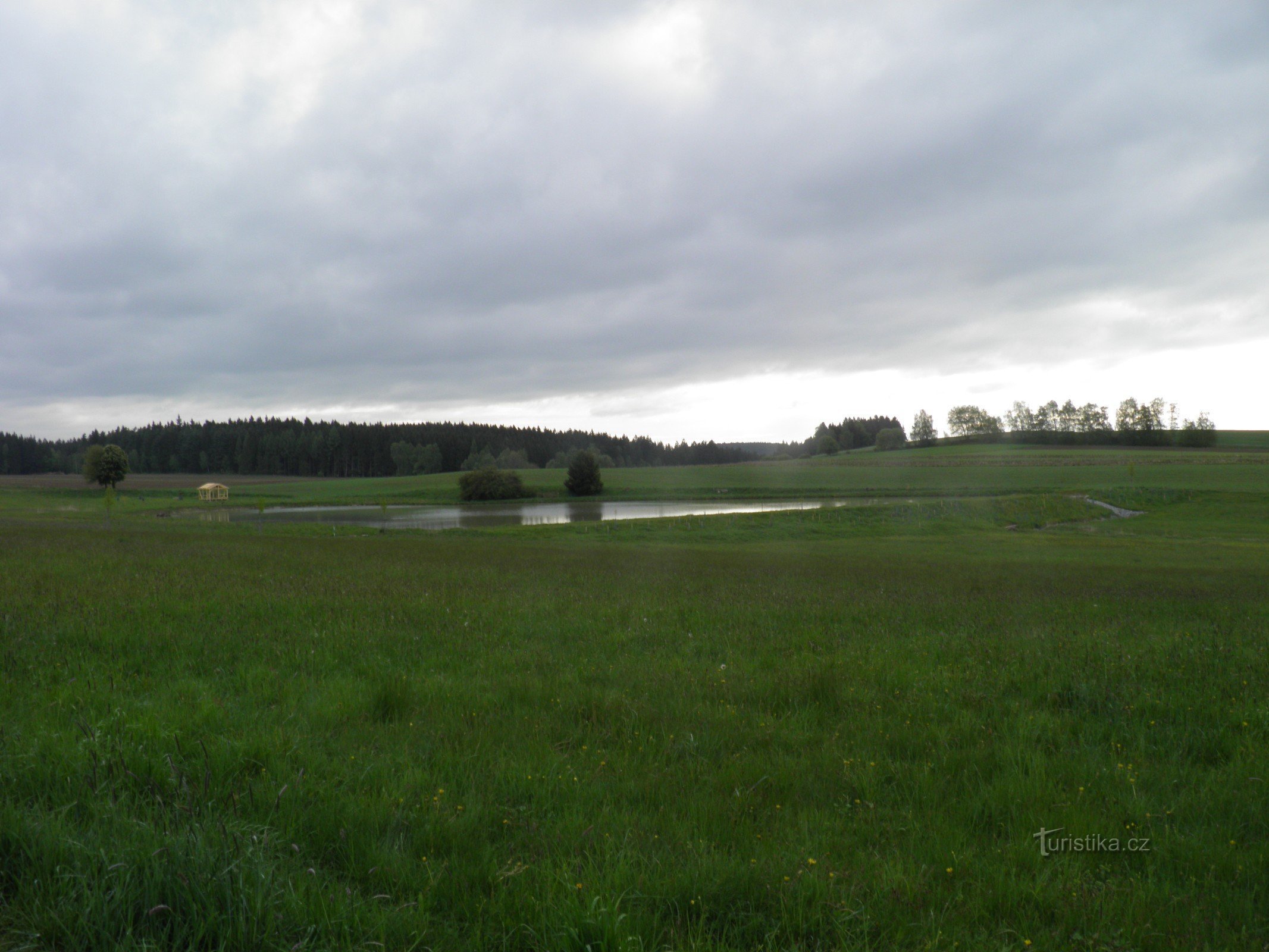 Vijvers in Hříběcí in de Boheems-Moravische Hooglanden