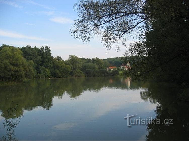 Ponds in Trnávka