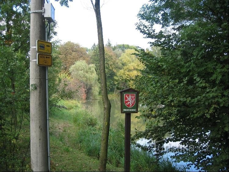 Ponds in Trnávka