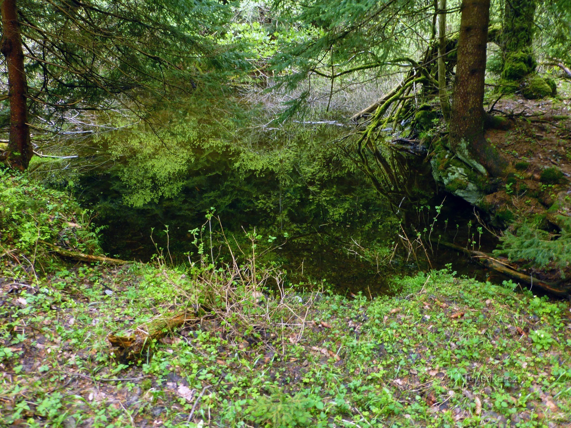 es wird wahrscheinlich keine Fische geben, aber immerhin hört man Frösche