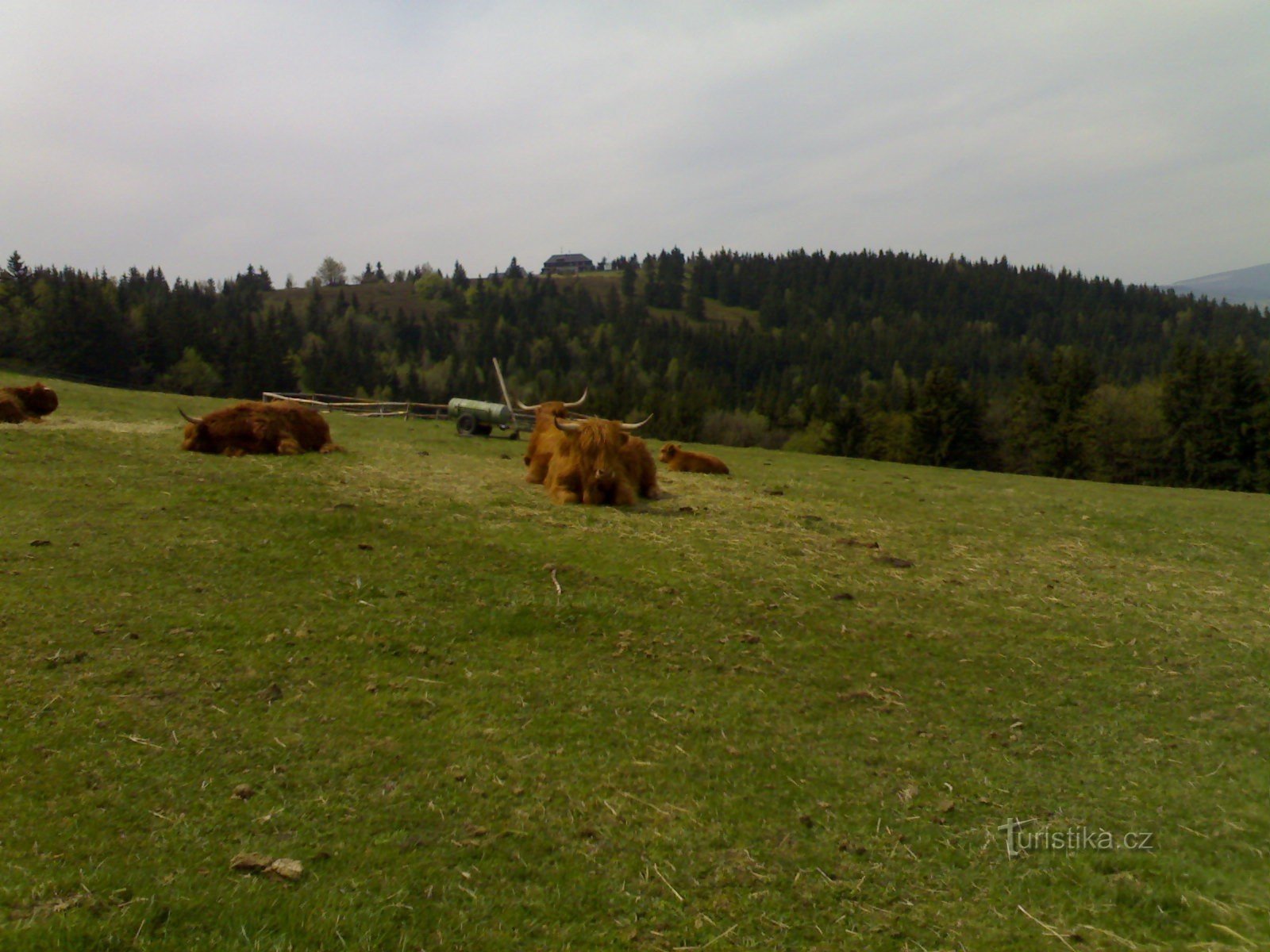 Rýchorská bouda