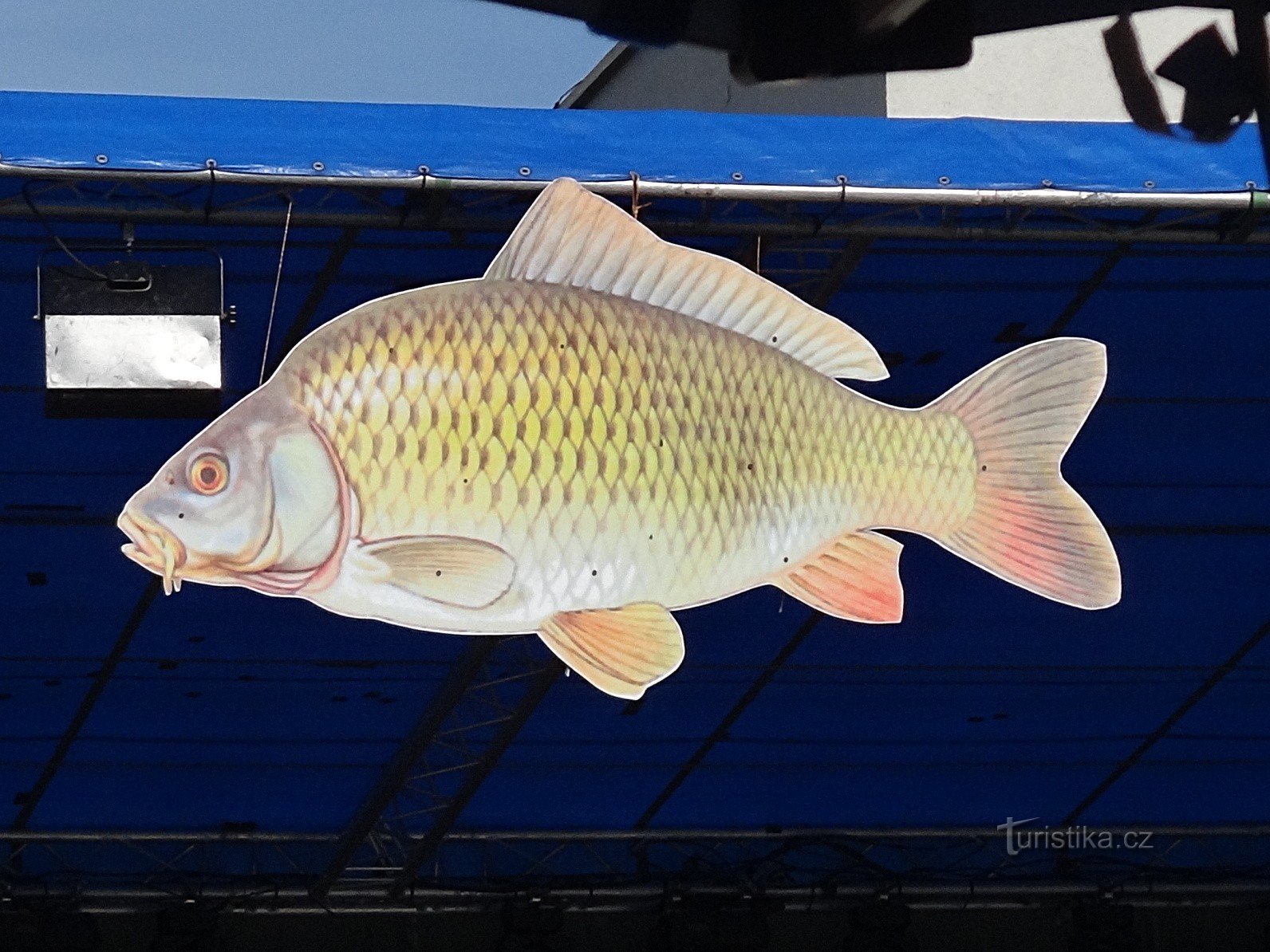 Emblema della carpa dorata di Rychvald delle feste del pesce