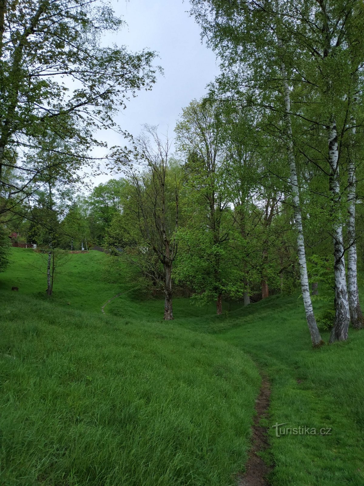 Rynartice - Pavlínina údolí - Grieselův-vijver - Jetřichovice