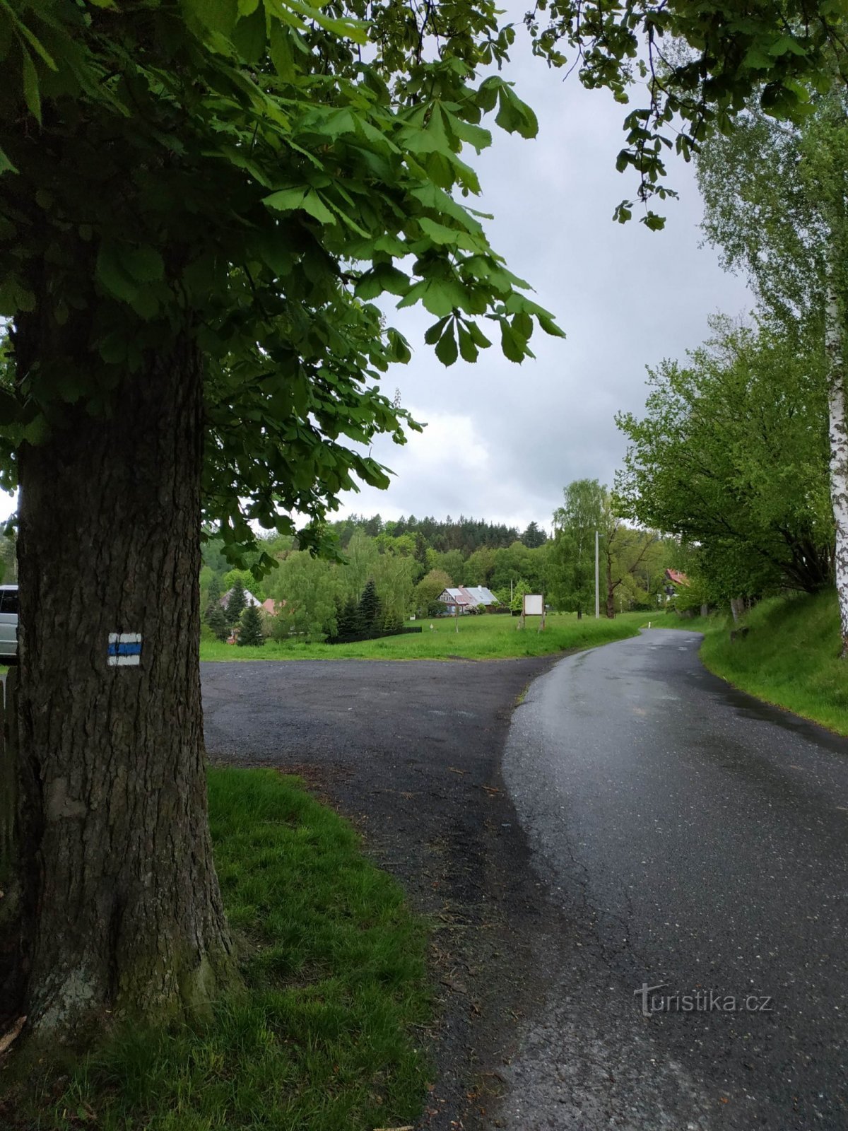 Rynartice - Pavlínino údolí - Grieselův rybník - Jetřichovice