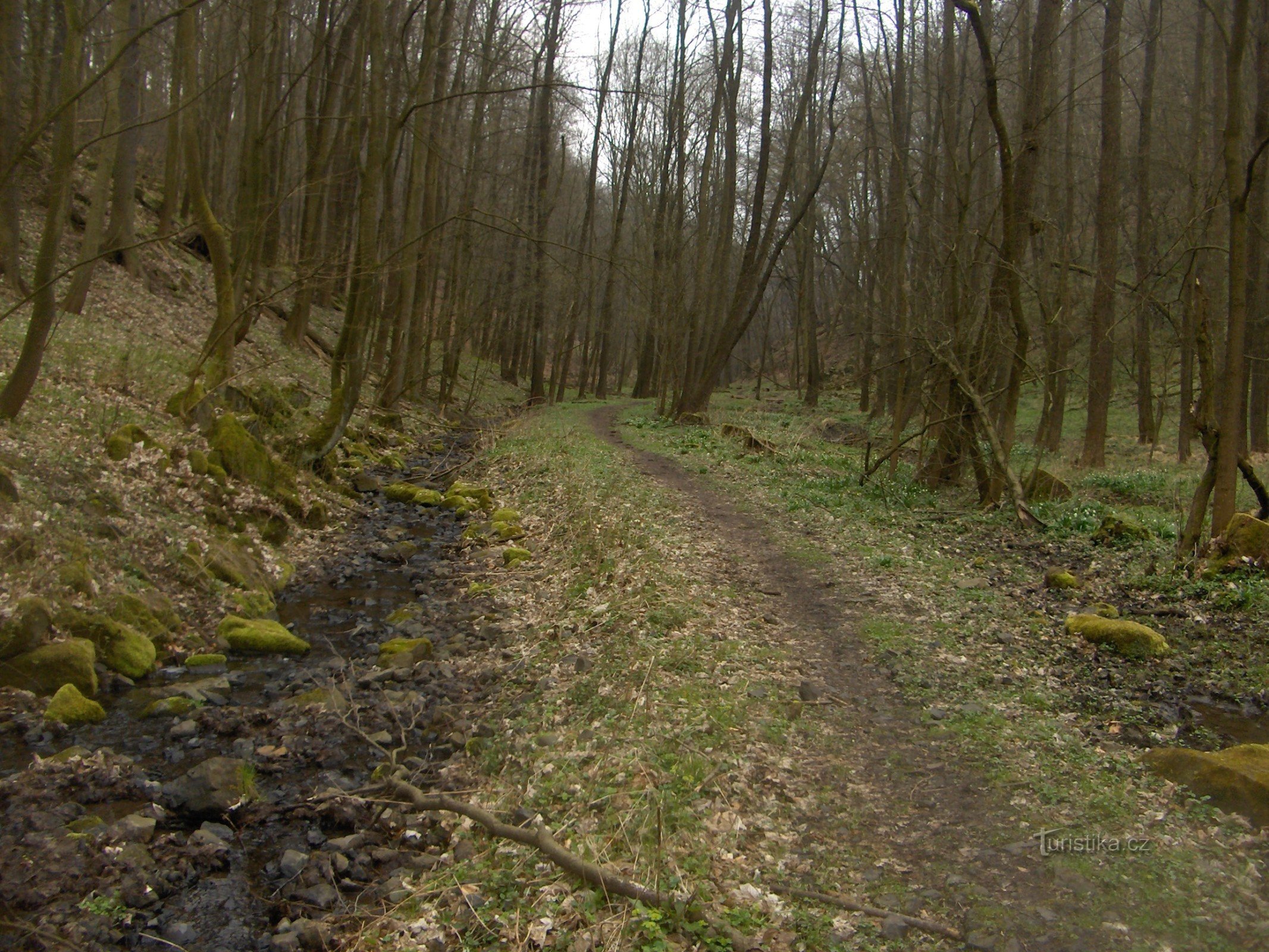 Gravur der Schlucht.