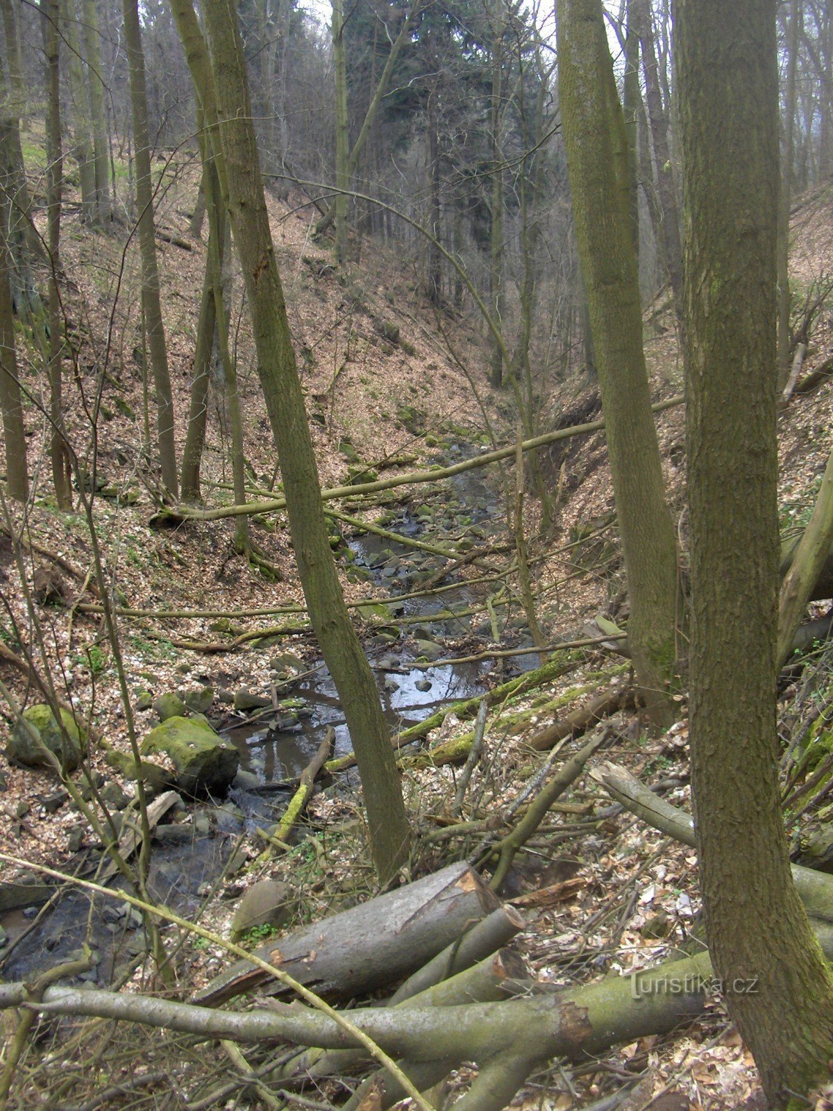 Gravur der Schlucht