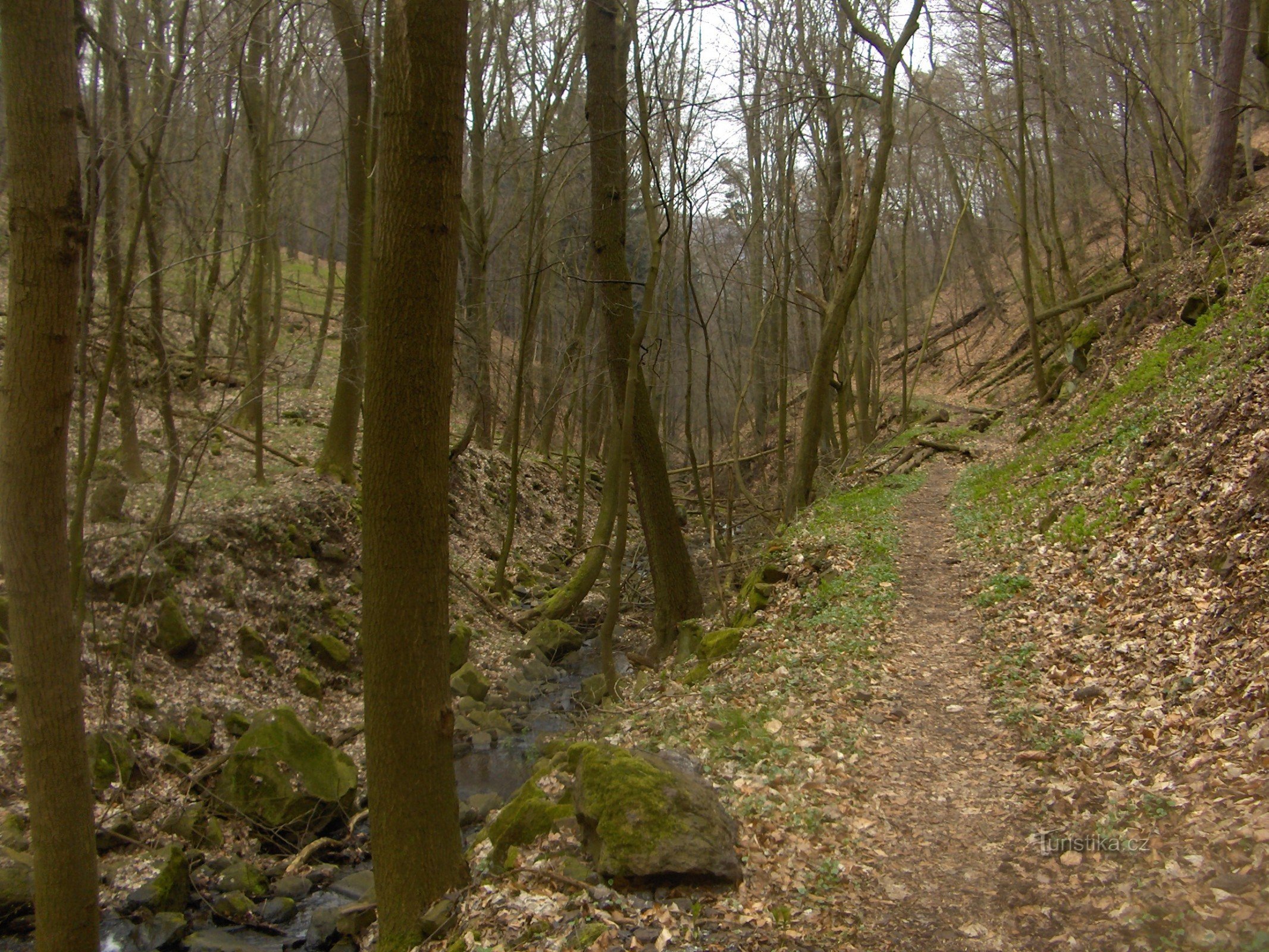 Gravur der Schlucht