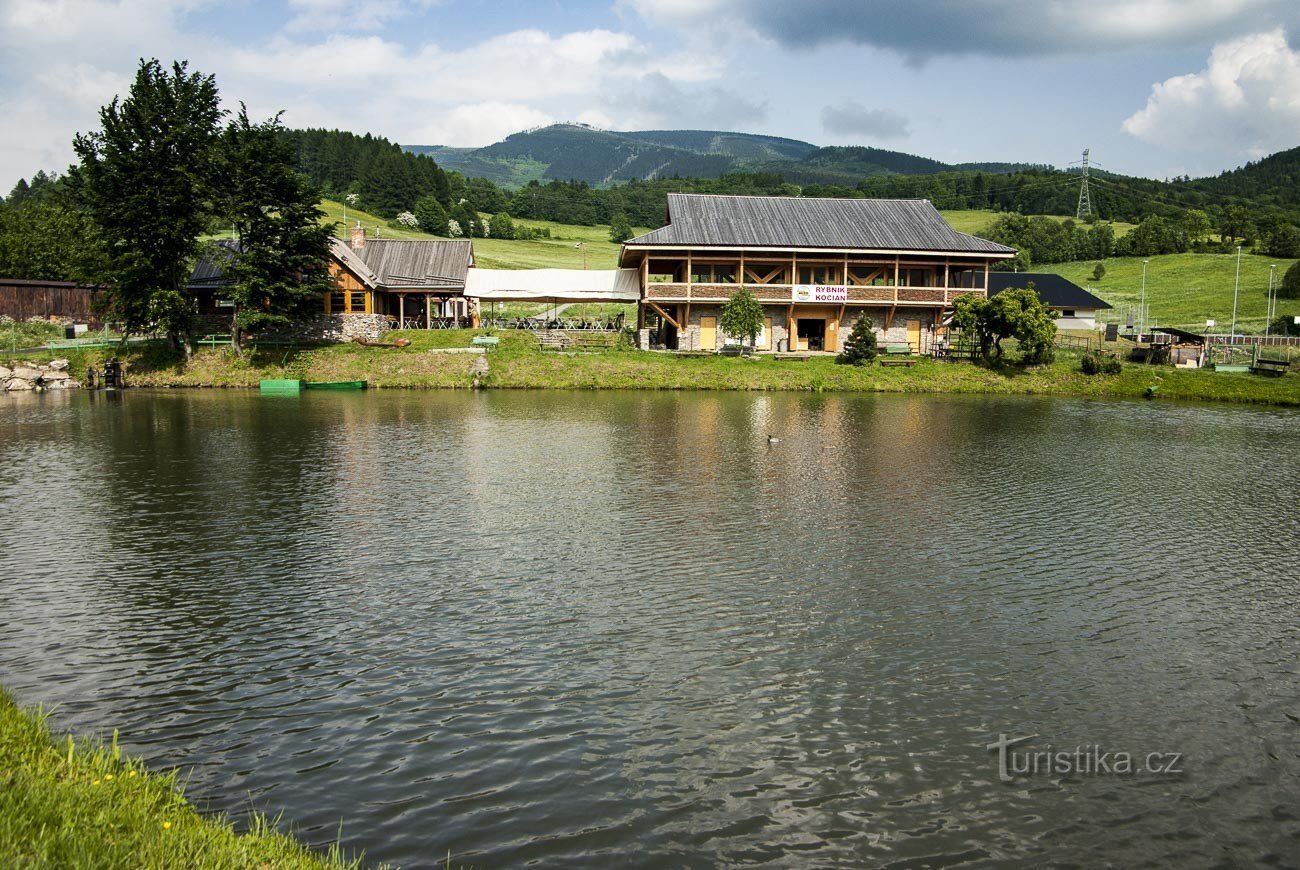 với thú ăn kiến