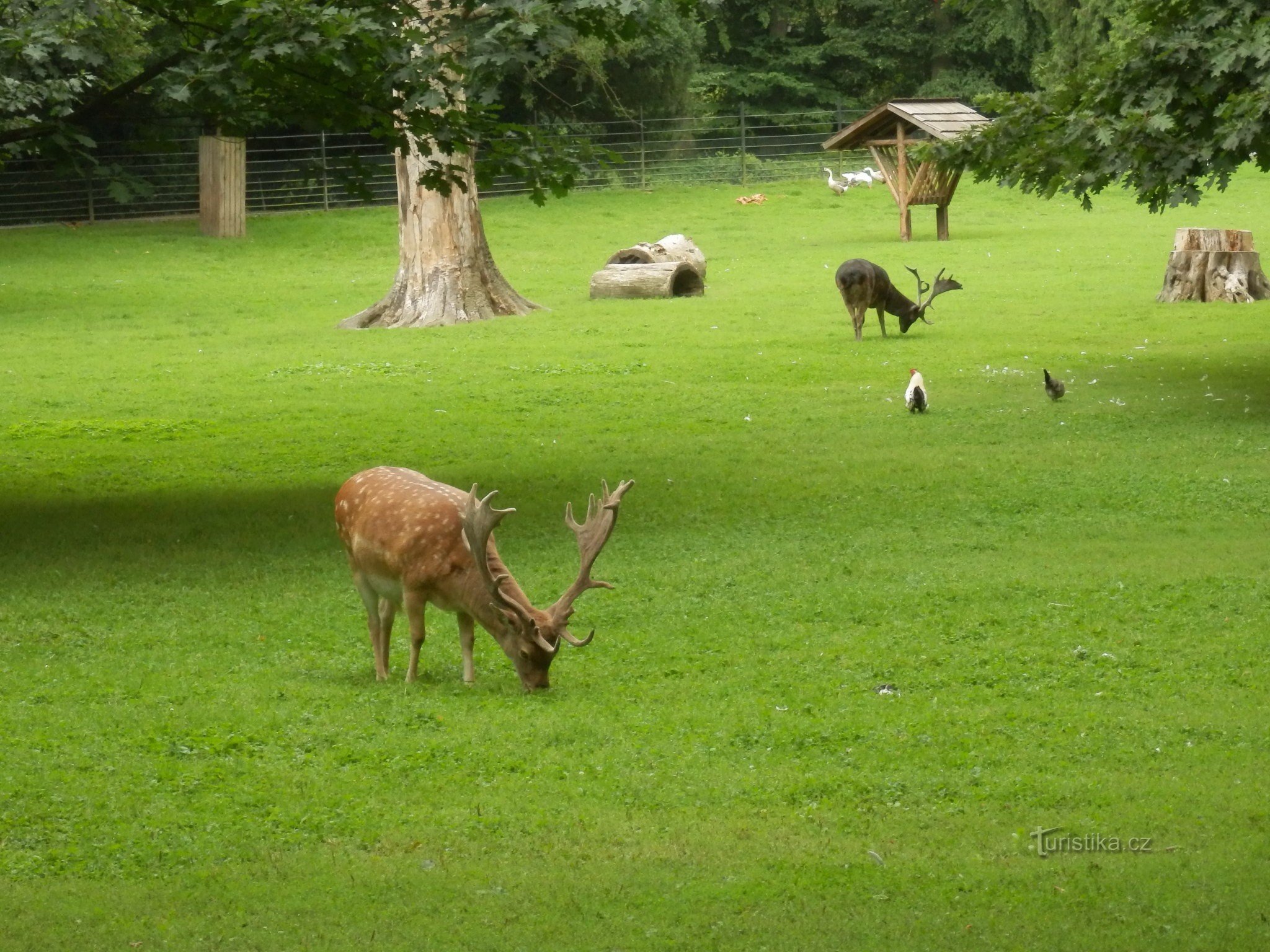 Mit den Kleinen mit dem Zug zum Podzámecká-Garten in Kroměříž