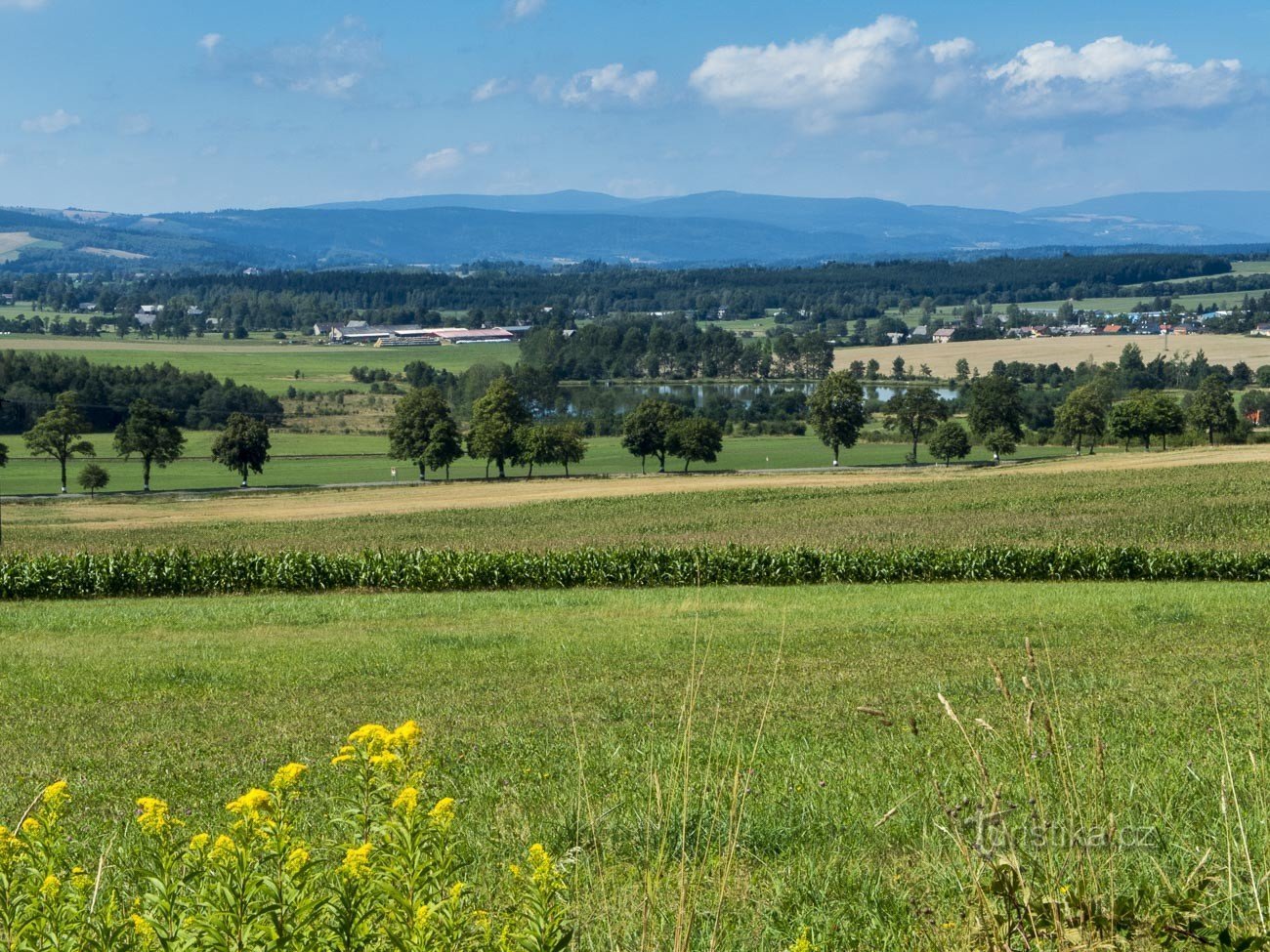 Mit dem Adlergebirge als Hintergrund