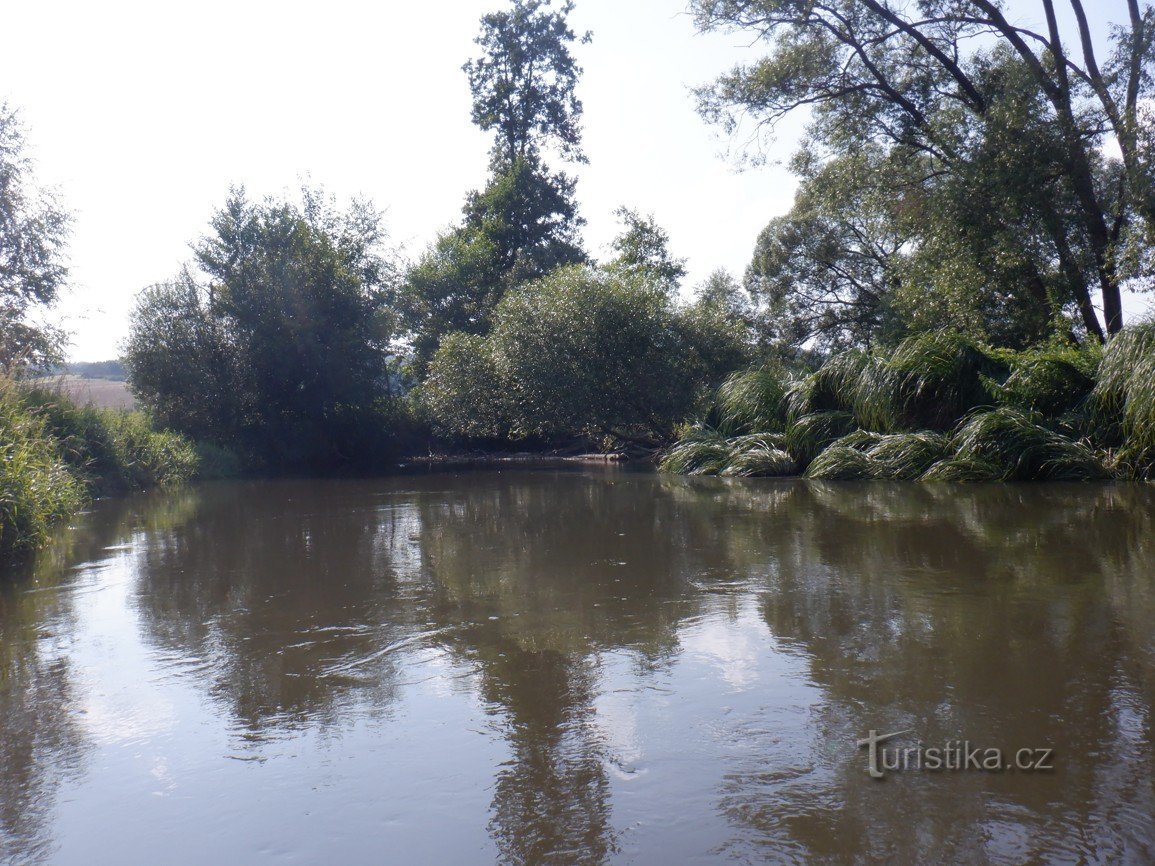 Nous avons navigué le long de la rivière Úhlava avec nos esprits et un peu de tête