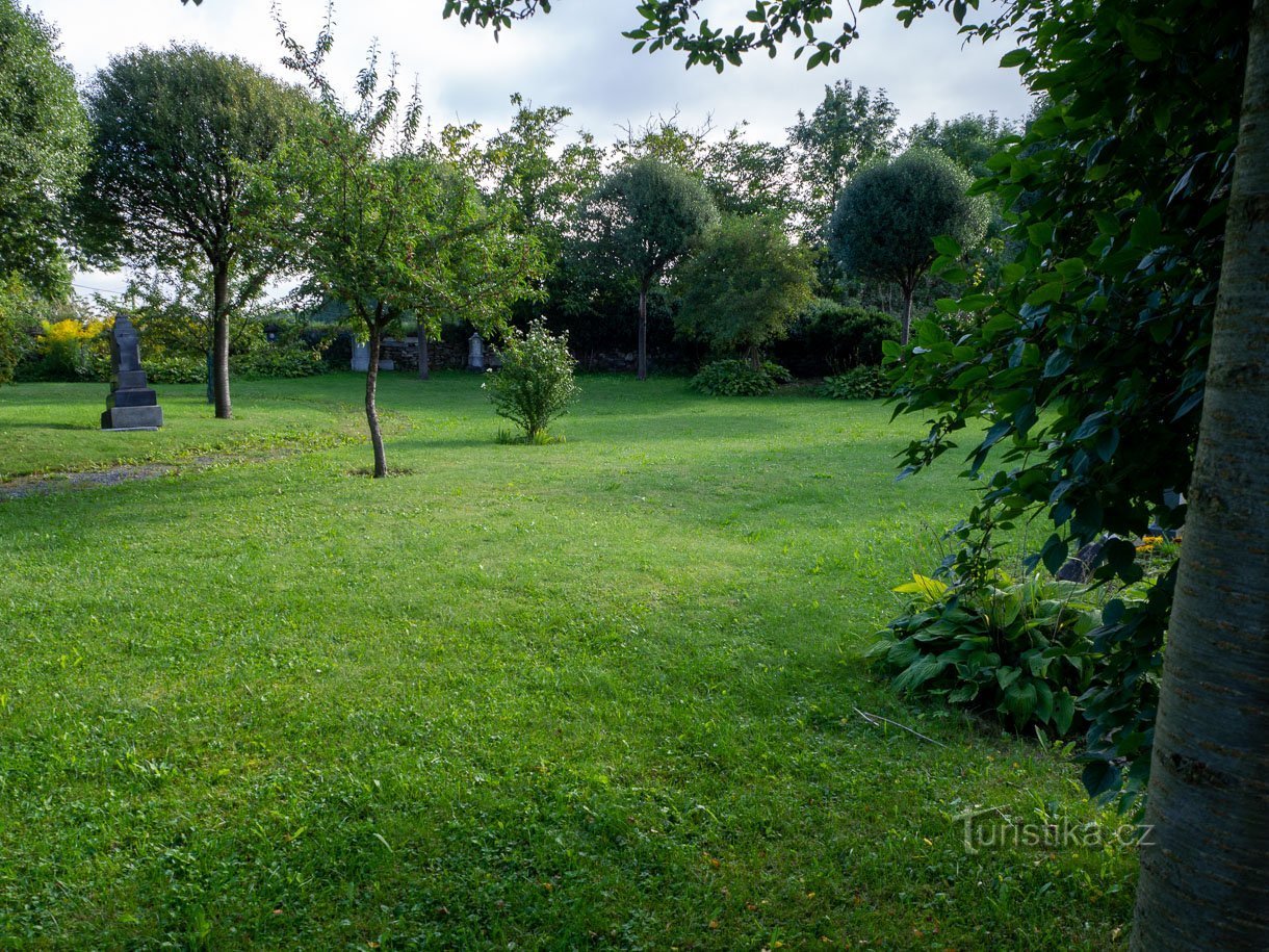 Con la piantumazione di nuovi alberi