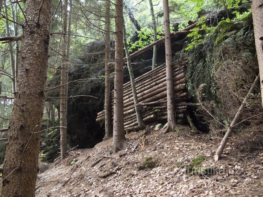 L'arbre est caché derrière un écran