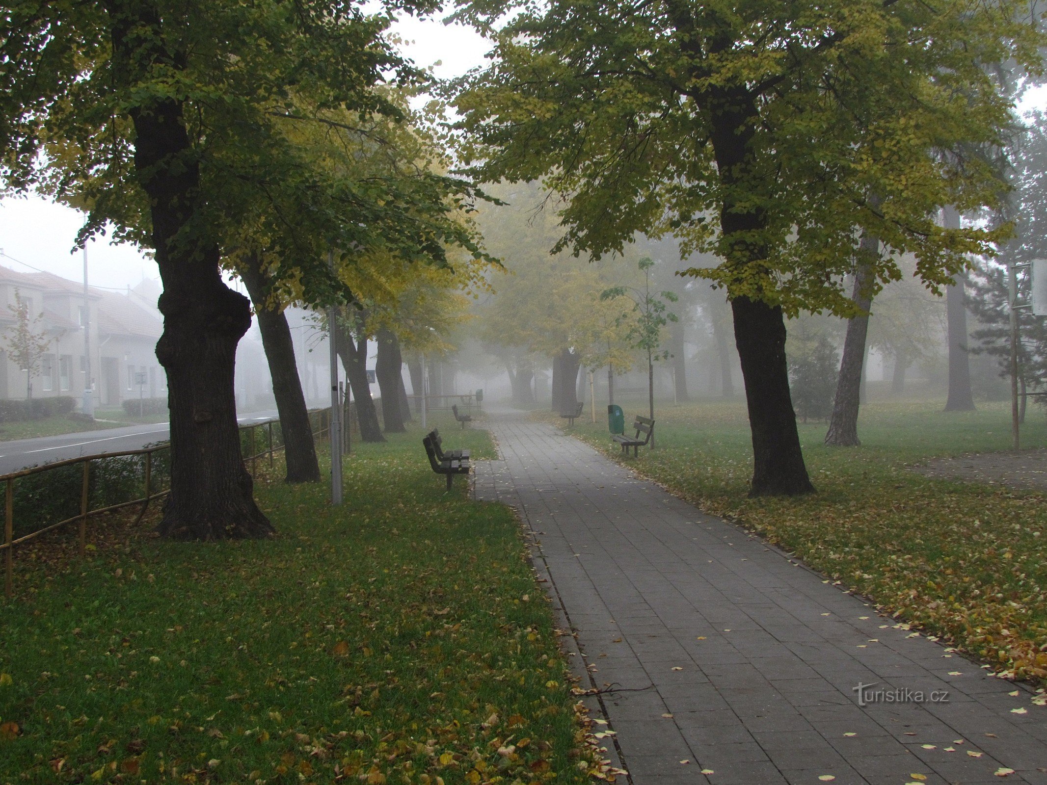 trädgårdar på Palackého Street