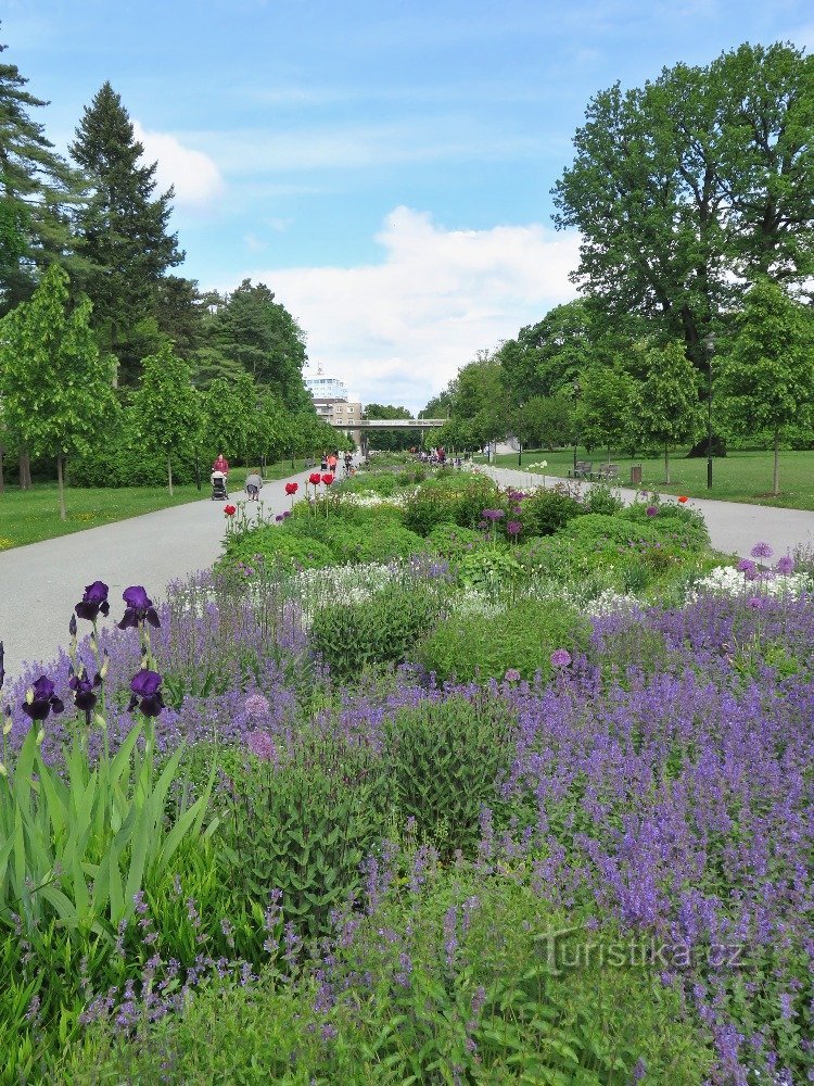 frugtplantagene blomstrer ikke kun på Floras tid