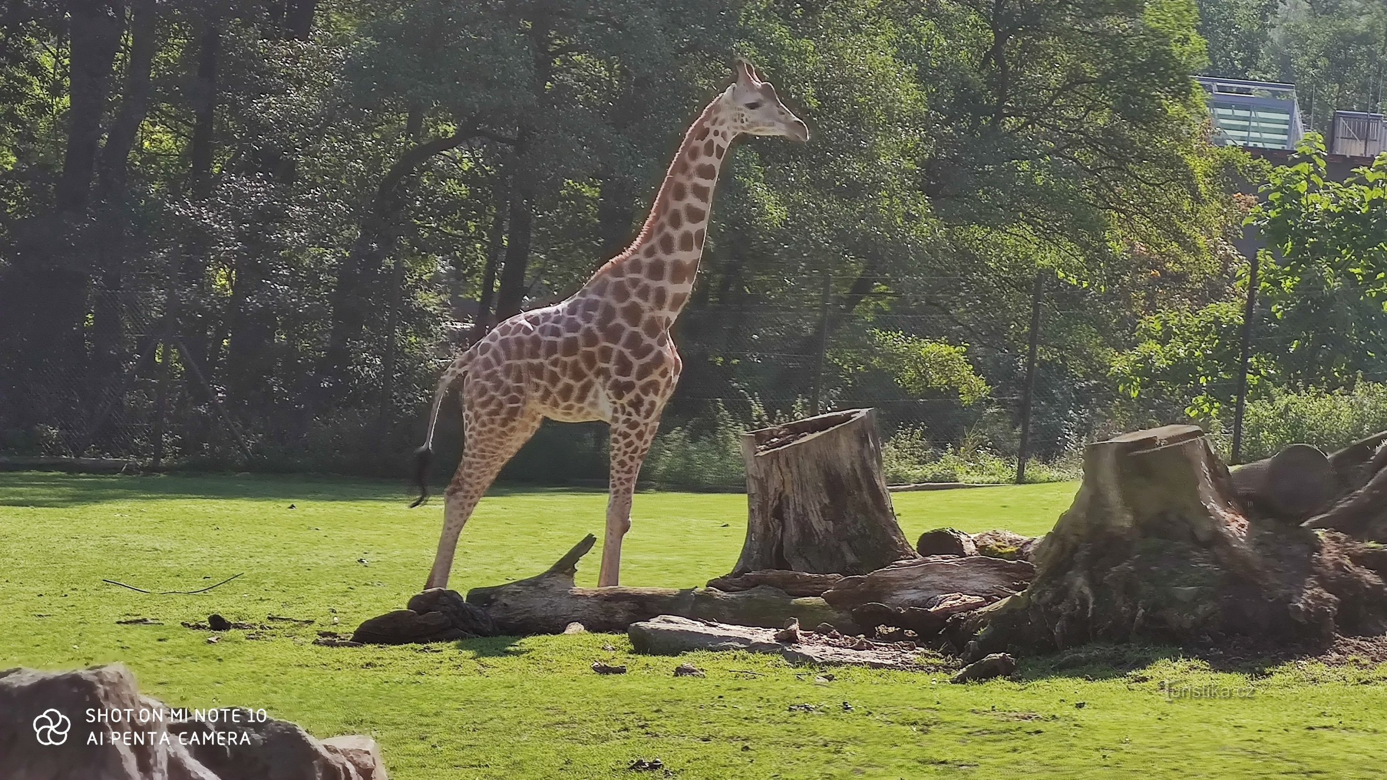 Safari express u zoološkom vrtu u Ostravi