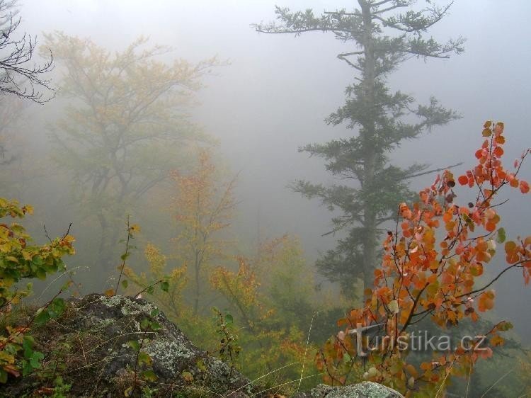 Šafářs klippe: På Šafářs klippe