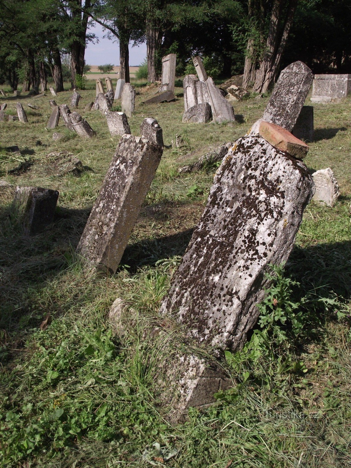 Šafov - židovský hřbitov