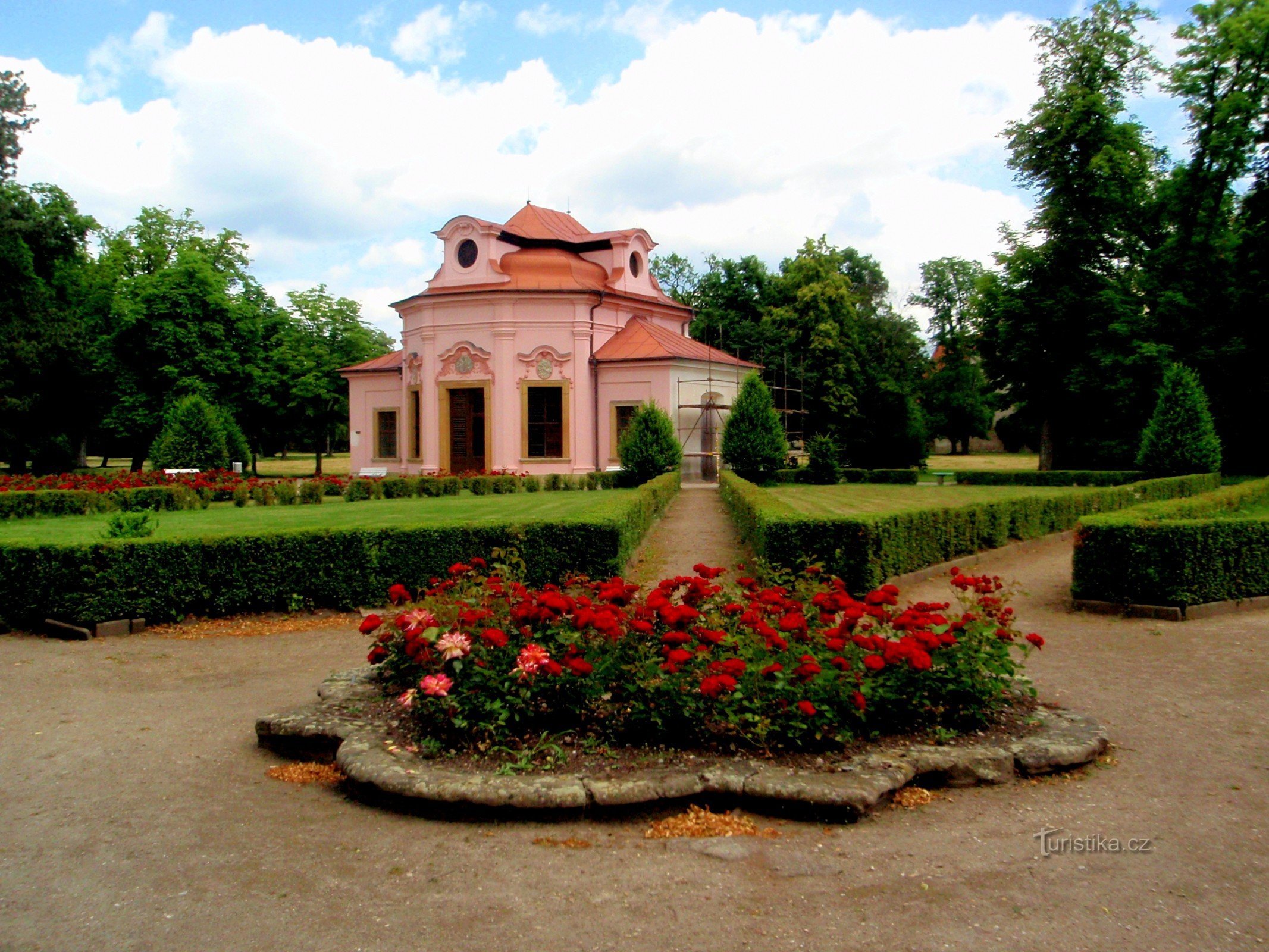 Sala tarrena rózsák felett