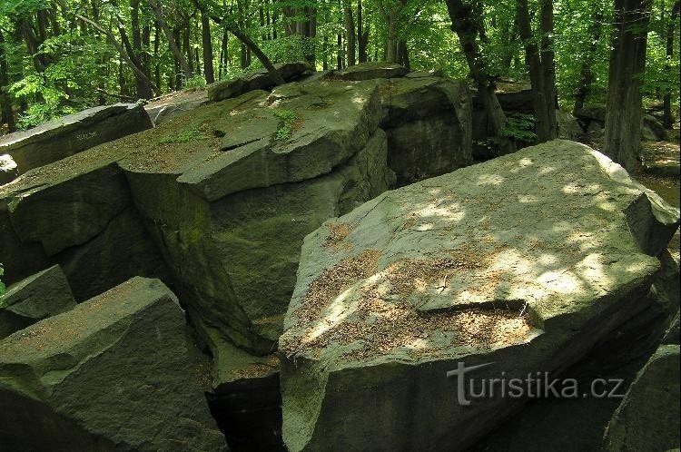 Altura de Salesio: bloques de roca