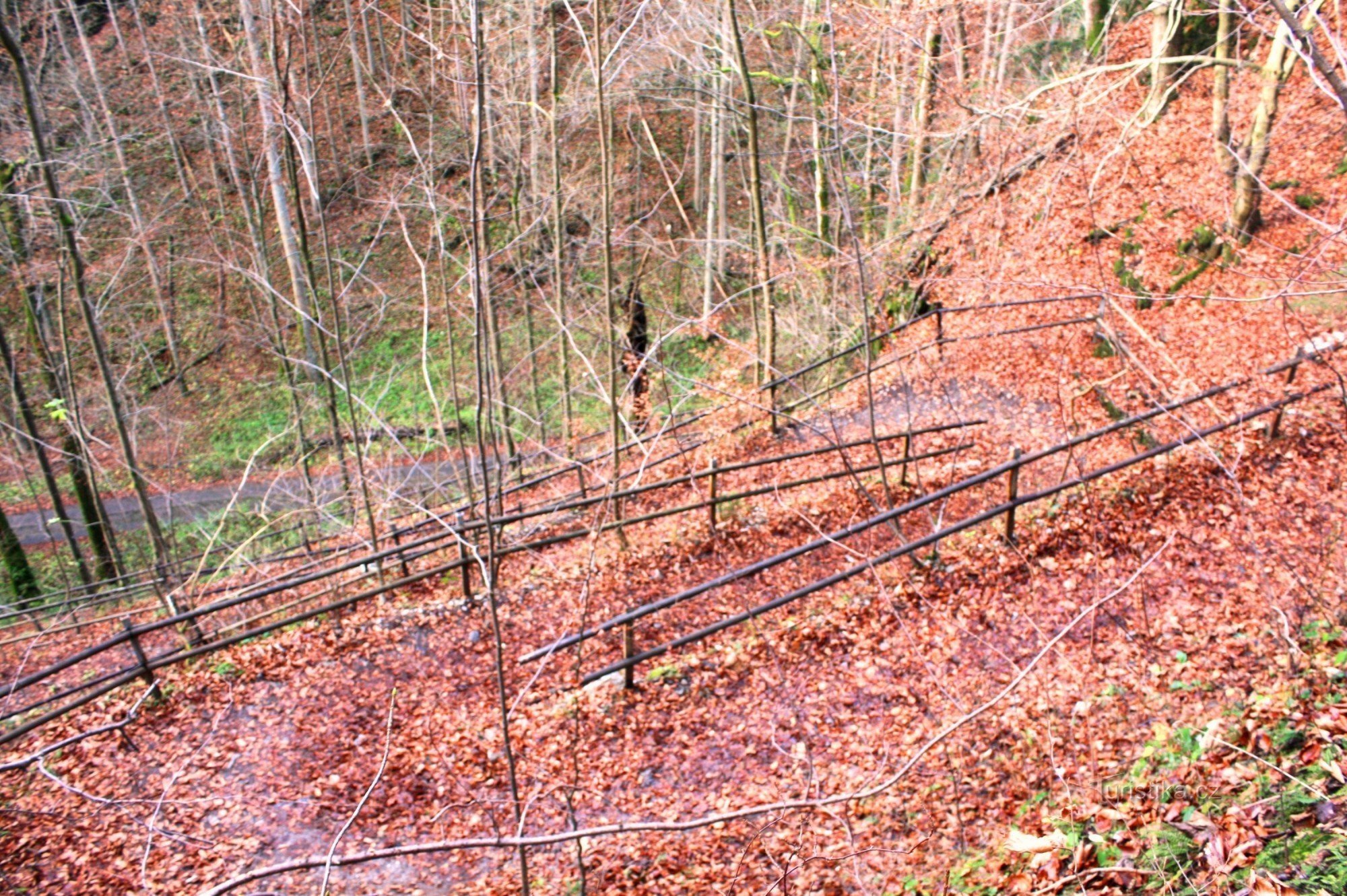 Sendero del salmón