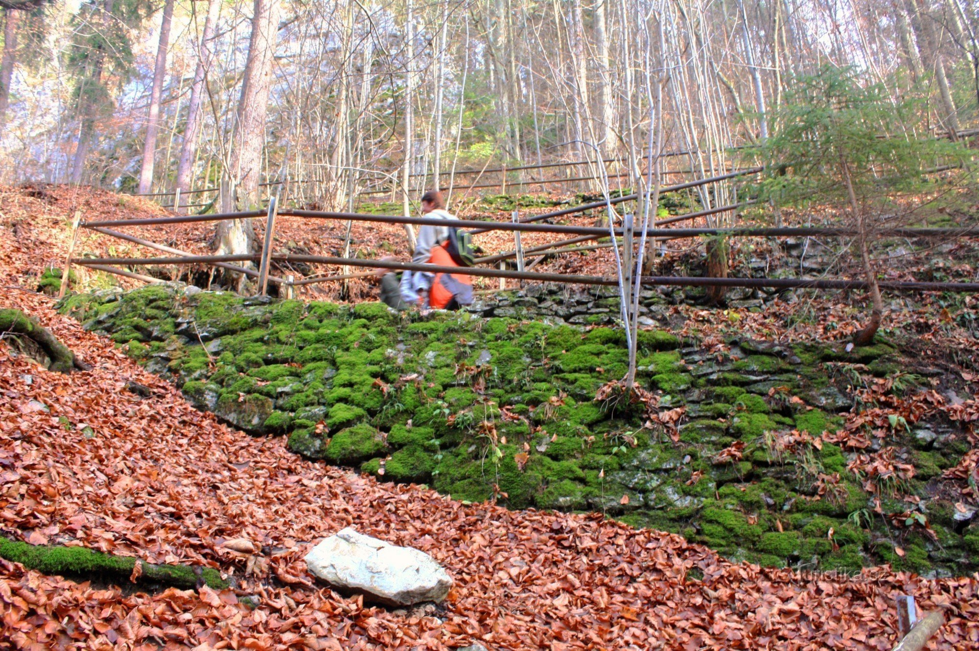 Sendero del salmón