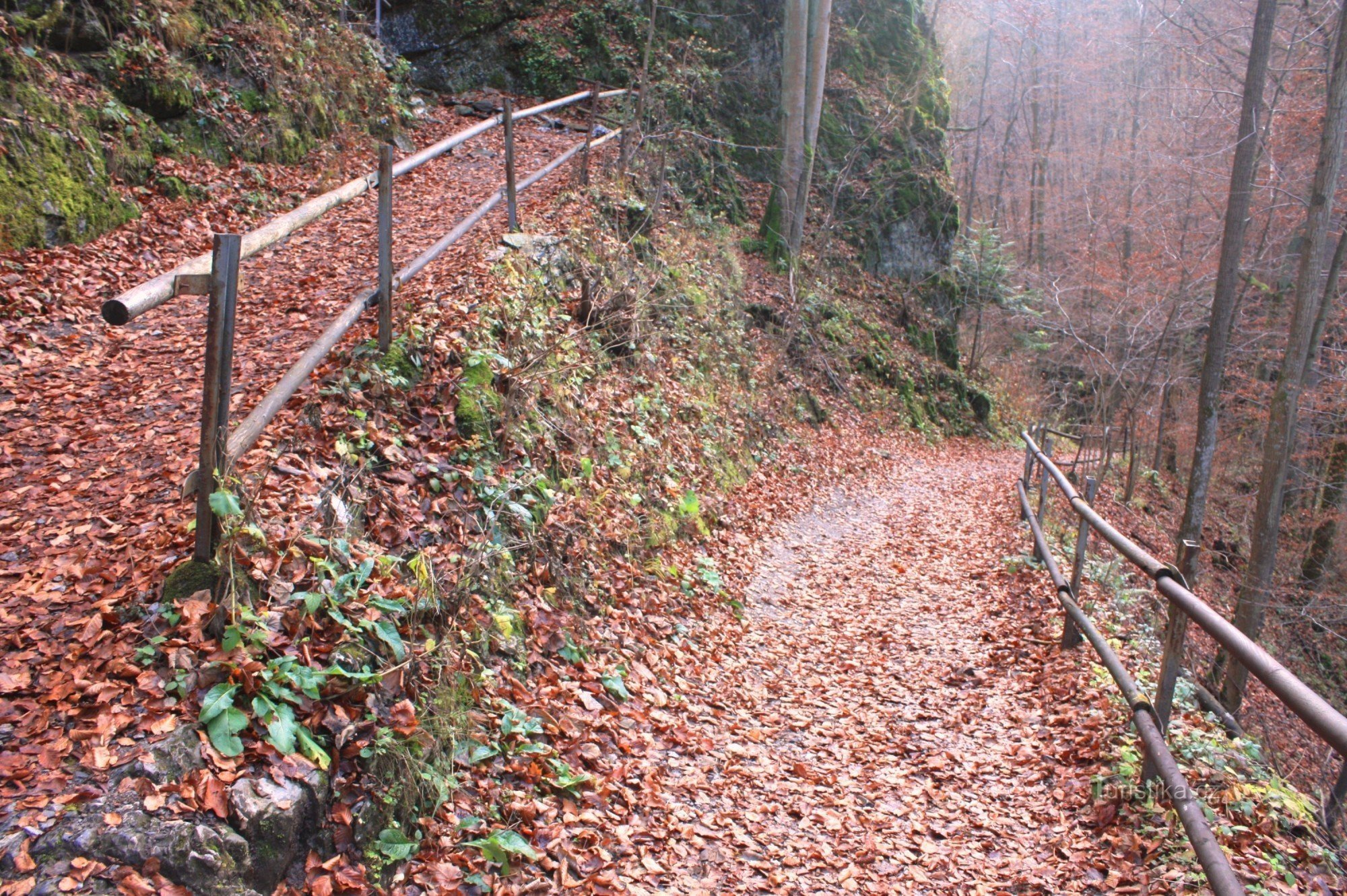 Sendero del salmón