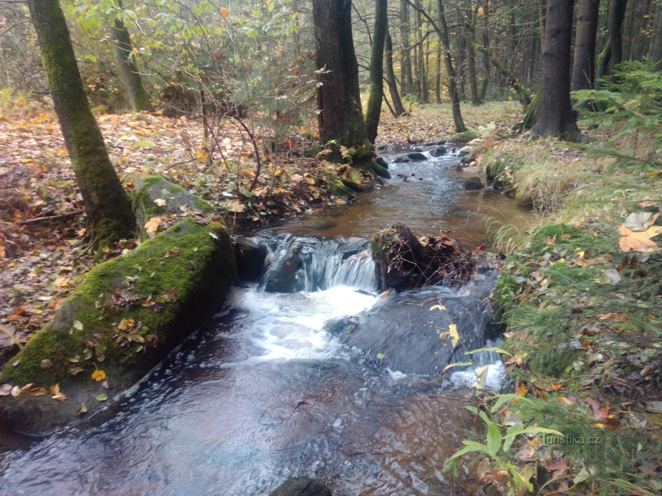 Salmovské údolí - Černý rybník - St. Hraběcí