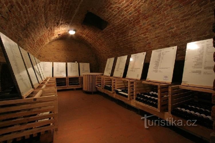 Salon of wines of the Czech Republic, presentation areas of the archive cellar (photo by Jan Halady): Part of the arc