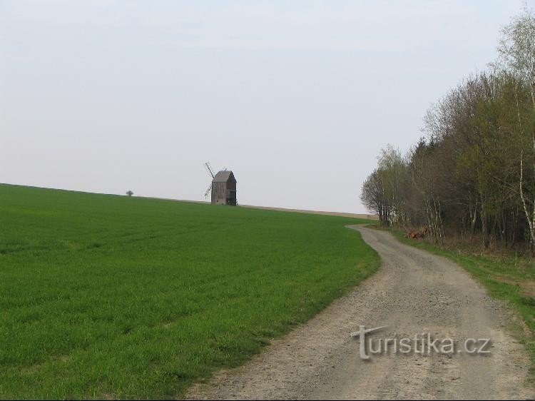 Allein auf dem Feld